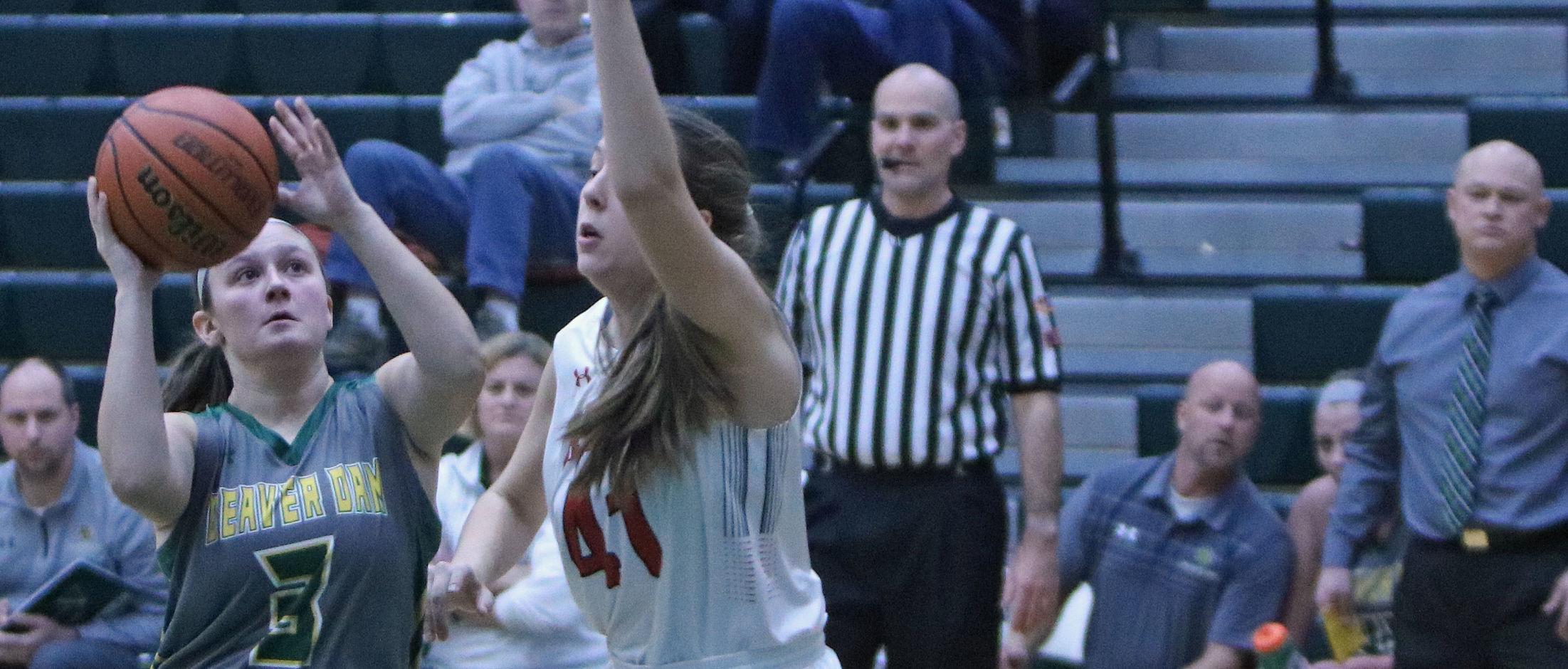 Carley Burchardt